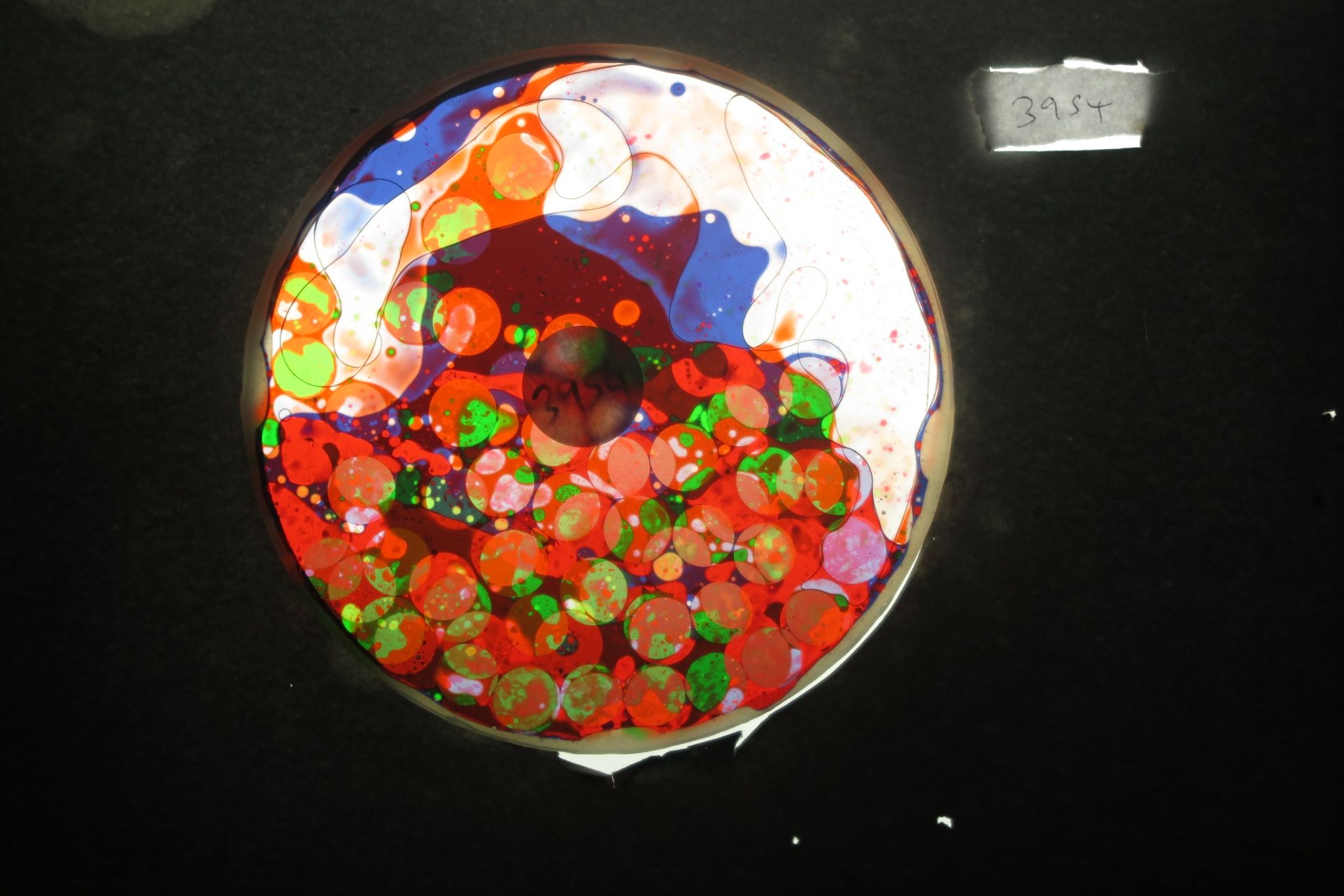 Bv3954 bubble vision oil wheel